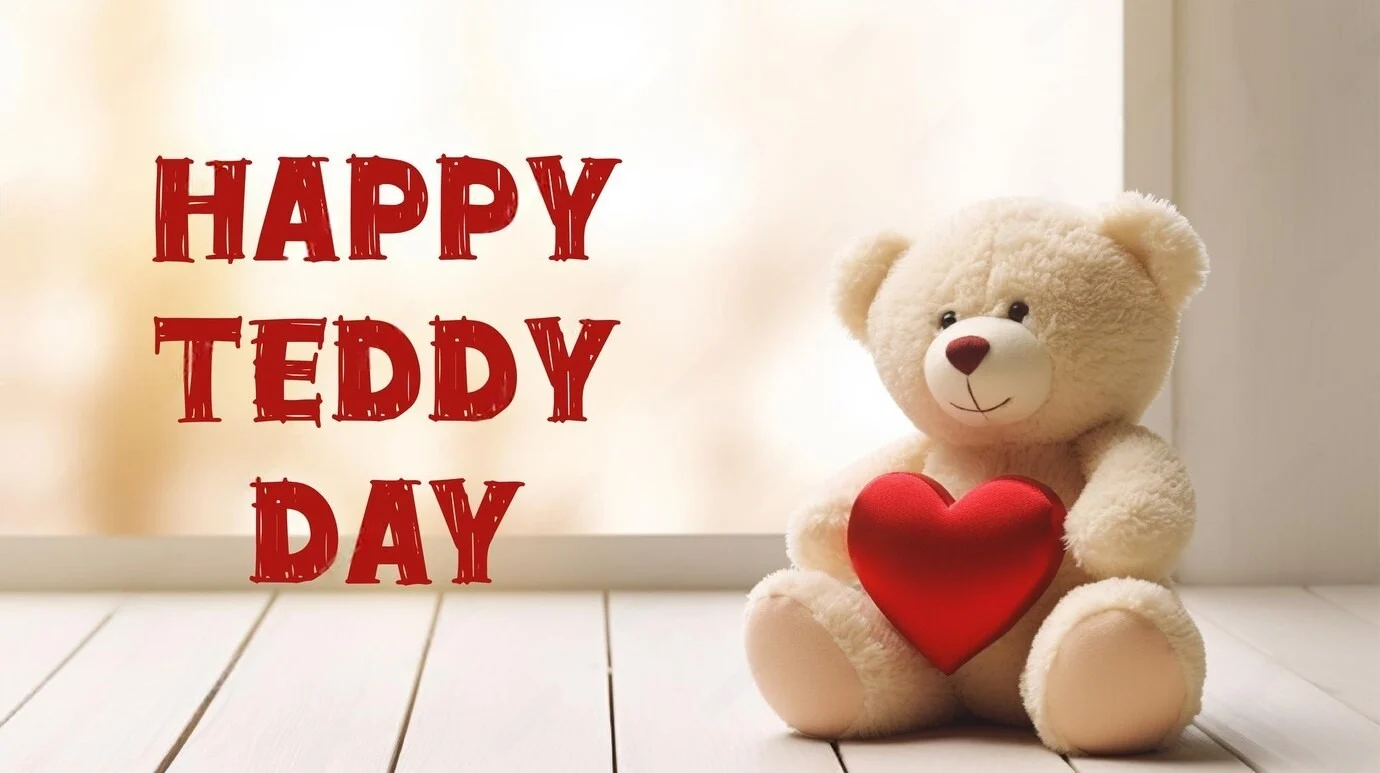 teddy