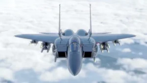 Indian Air Force Chief Flies F-15 Fighter Jet