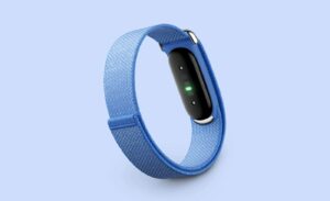 Fitbit Air Fitness Band