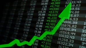 Cupid Ltd Share Price