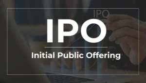 Initial Public Offering (IPO)